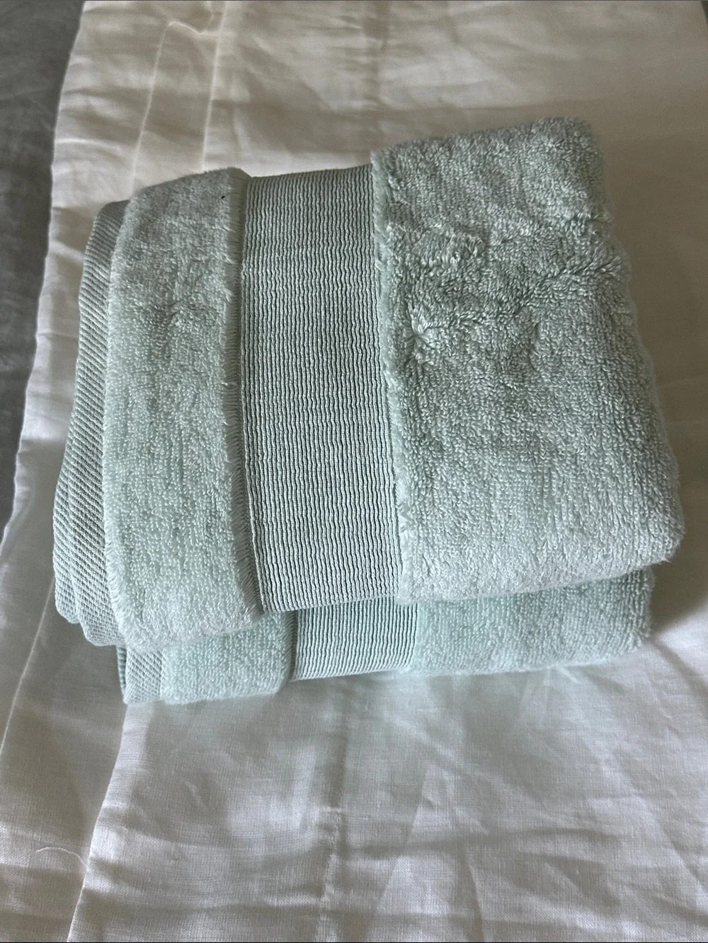 Quince Light Mint Hand Towels - Soft Plush Set